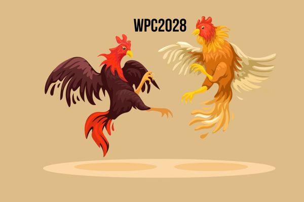 WPC2028