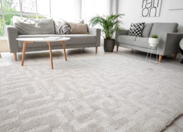 Low-Pile vs. High-Pile Carpets: Which Is Right for You?